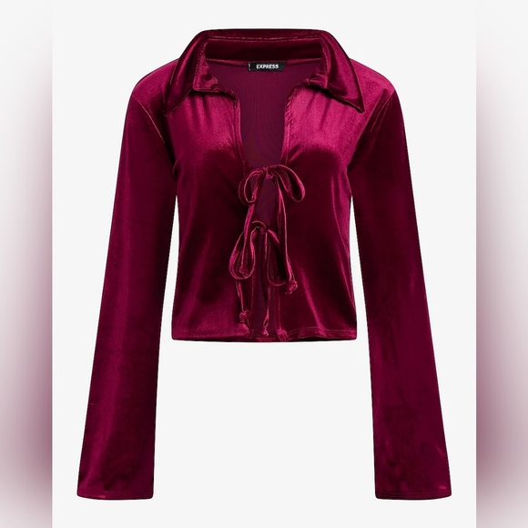 Velvet Long Sleeve Collared Tie Front Top, Burgundy - Picture 3 of 5